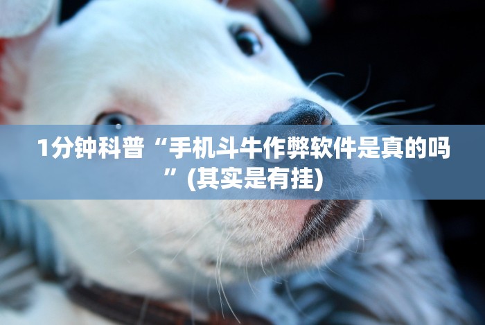 强力推荐“手机微信微乐麻将怎么开挂”开挂辅助教程