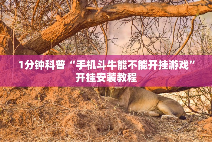 3分钟学会“十三开挂辅助”(详细开挂教程)