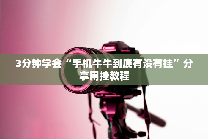【出现一款新型】“大头十三水怎么开挂”事实上真的有挂