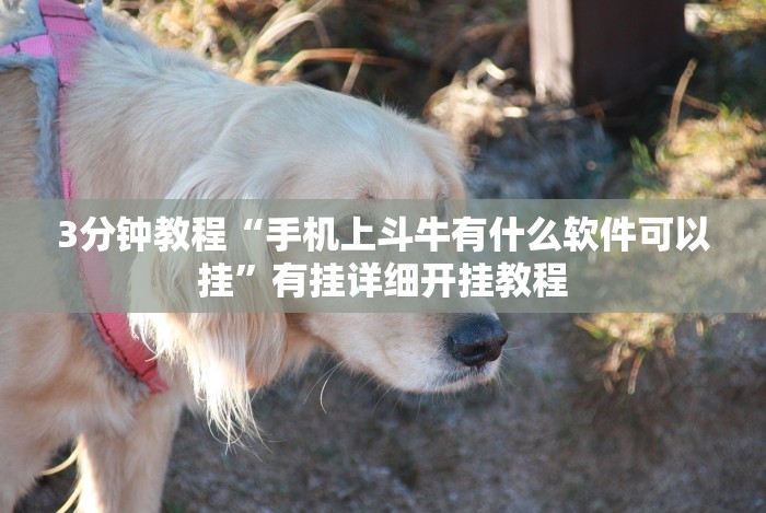 科普实测“海满麻将有挂吗”分享用挂教程