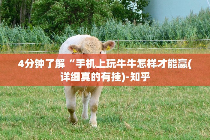 玩家实测“天天卡五星有挂吗”其实确实有挂