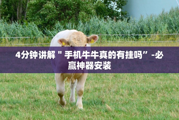 一分钟看懂“大头开心13张如何防被挂”(确实真的有挂)