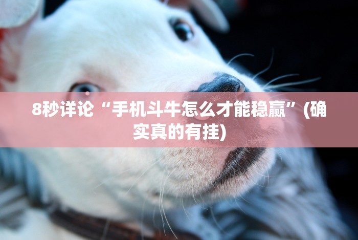 重磅来袭“口袋十三水可以开挂吗”附开挂脚本