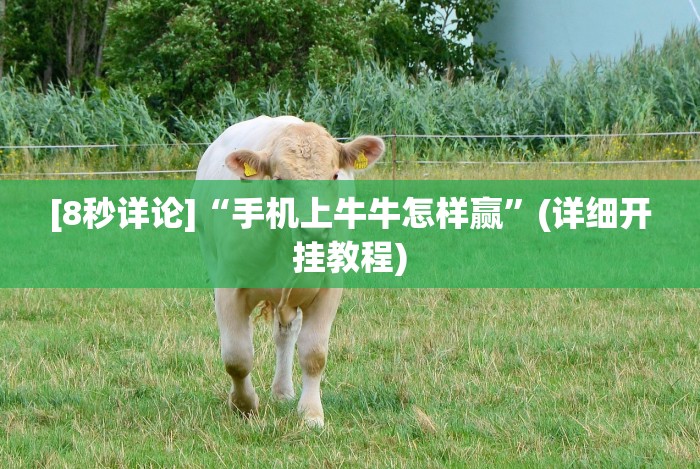 [分享]“八闽十三水怎么拿好牌”分享用挂教程