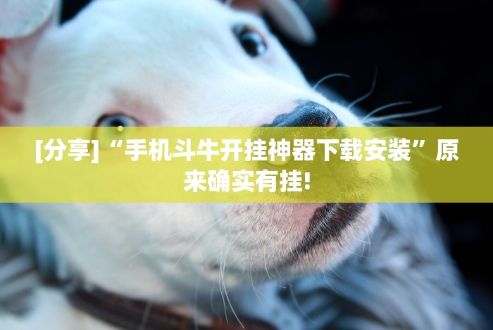 【玩家游戏玩法】“边锋老友跑得快好牌器”(详细透视教程)-