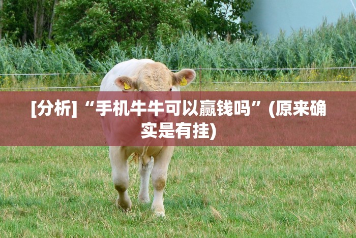 今日重磅消息“天天十三水可以开挂吗”分享用挂教程