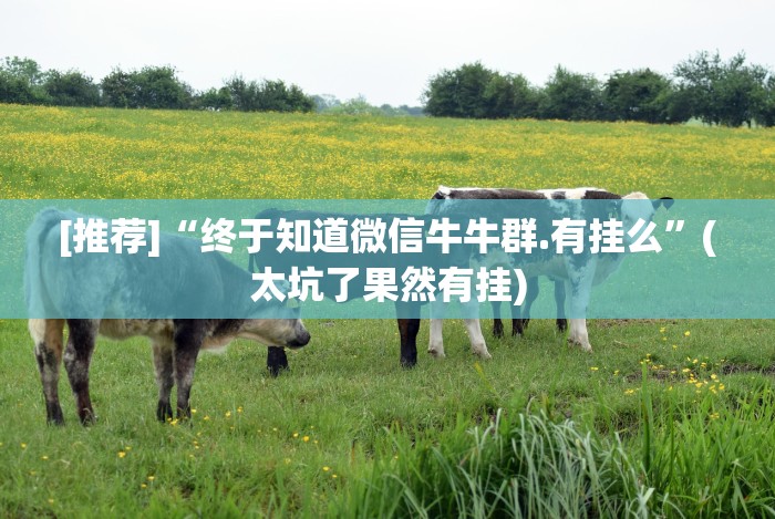 [分析]“天府棋牌雀神山庄麻将有挂吗”2025开挂教程步骤