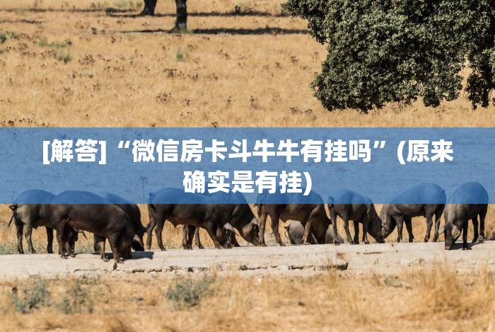 实测辅助“手机炸金花用什么样的挂”作弊挂(辅助外挂+