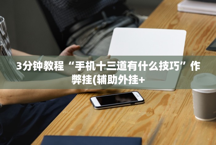 【玩家必看实操】“手机十三道可以开挂吗”其实有开挂插件!