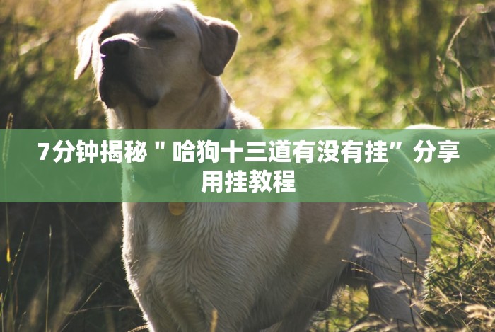 【第一资讯】“微乐卡五星麻将开挂神器下载”可以开挂作弊