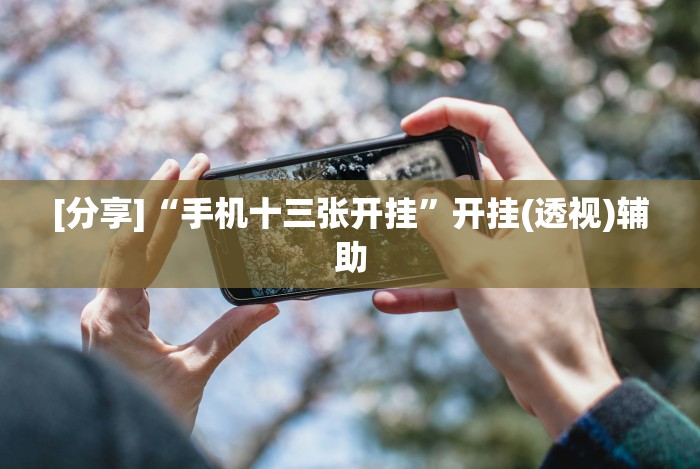 独家解答“友友邳州麻将开挂神器”作弊挂(辅助外挂+教程)