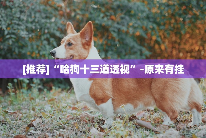 科技分享“微乐安徽麻将万能开挂器”事实上确实有挂