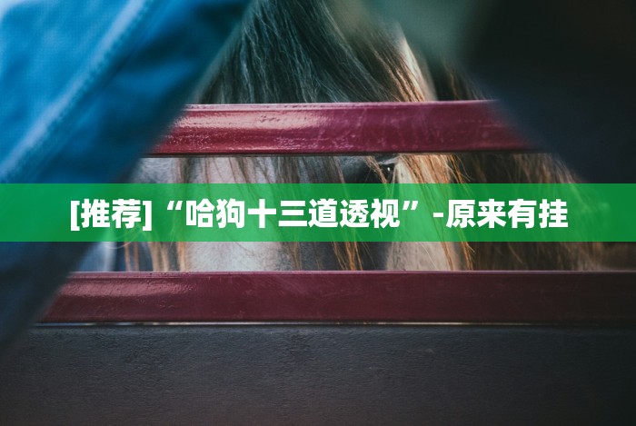 4分钟讲解＂牵手益阳棋牌免费开挂”详细外挂辅助详细教程