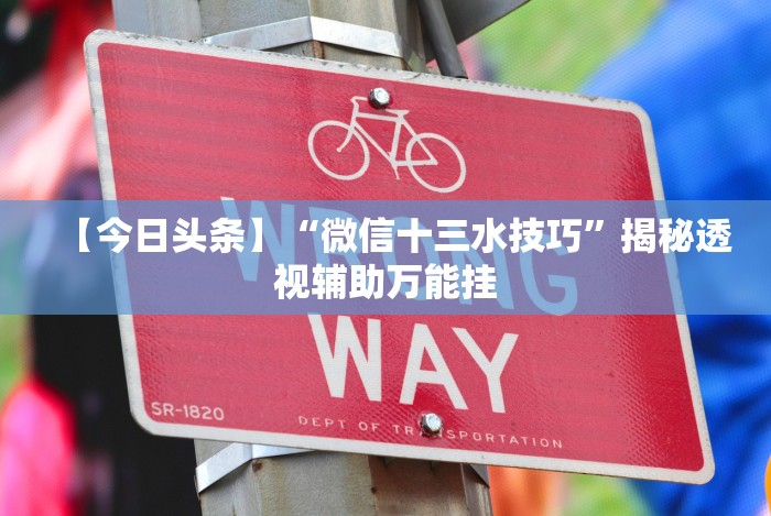 推荐一款”微乐打麻将技巧和方法”分享用挂教程