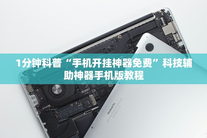 1分钟科普“手机开挂神器免费”科技辅助神器手机版教程