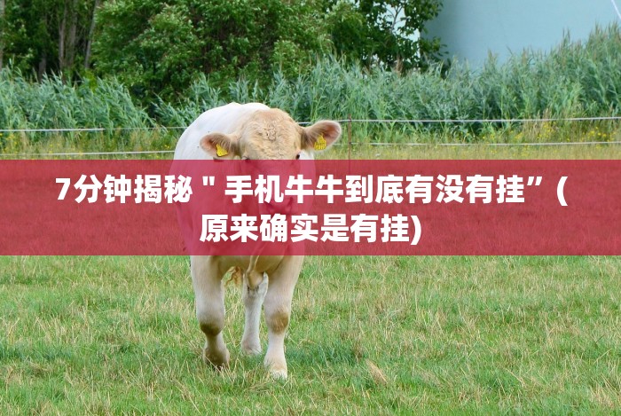 内幕揭晓“乐乐围棋入门怎么开挂”真的有挂