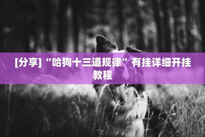 教教大家“金州水鱼挂怎么开”(果然有透视挂)