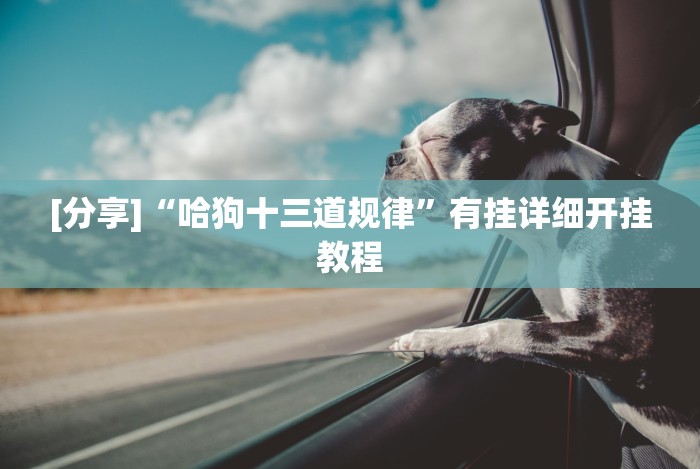 教程辅助!“微信炸金花挂是不是真的吗”(必胜开挂神器)