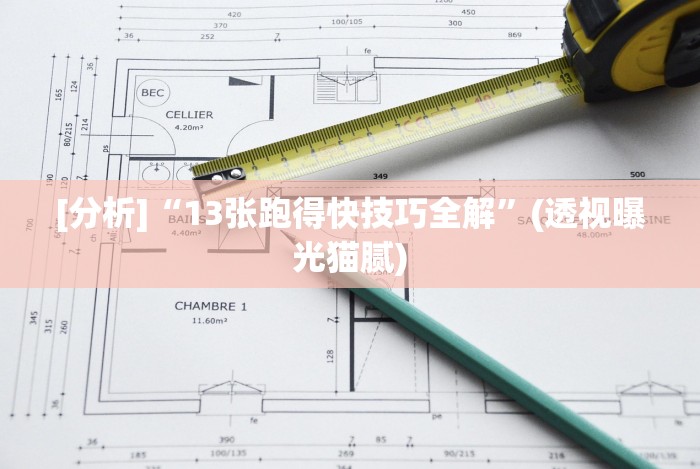 [分析]“13张跑得快技巧全解”(透视曝光猫腻)