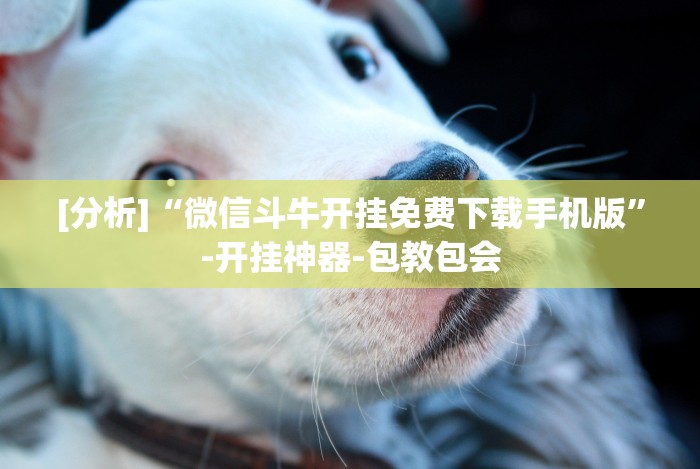 [推荐]“皮皮云南麻将开挂神器”(太坑了果然有挂)