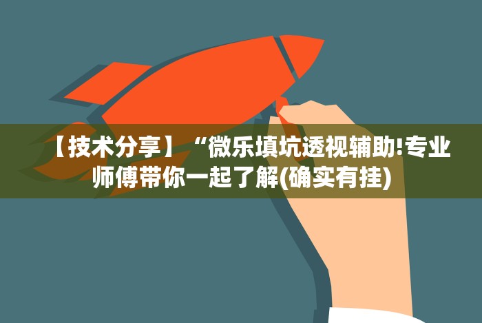 【技术分享】“微乐填坑透视辅助!专业师傅带你一起了解(确实有挂)