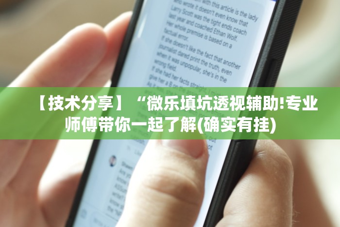 【技术分享】“微乐填坑透视辅助!专业师傅带你一起了解(确实有挂)