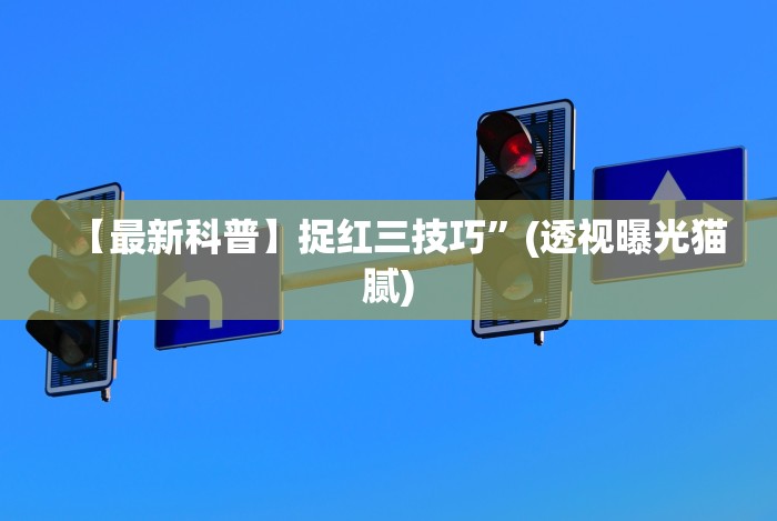 辅助盘点“小程序微乐陕西挖坑辅助器”作弊(透视)透视辅助