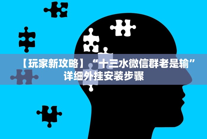 【玩家新攻略】“十三水微信群老是输”详细外挂安装步骤
