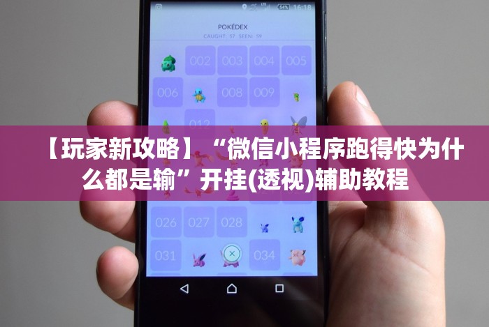 【玩家新攻略】“微信小程序跑得快为什么都是输”开挂(透视)辅助教程