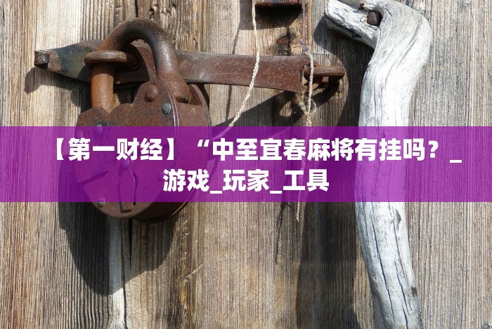 【第一财经】“中至宜春麻将有挂吗？_游戏_玩家_工具