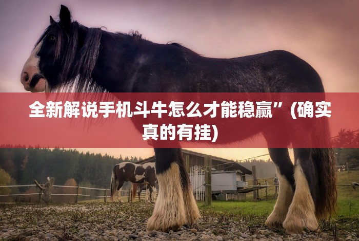 全新解说手机斗牛怎么才能稳赢”(确实真的有挂)