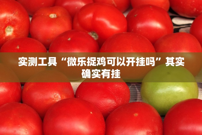 秒懂经验“卡丁娱乐辅助器试用版(详细透视开挂教程)