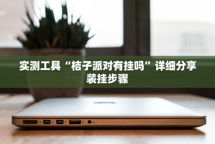 实测工具“桔子派对有挂吗”详细分享装挂步骤