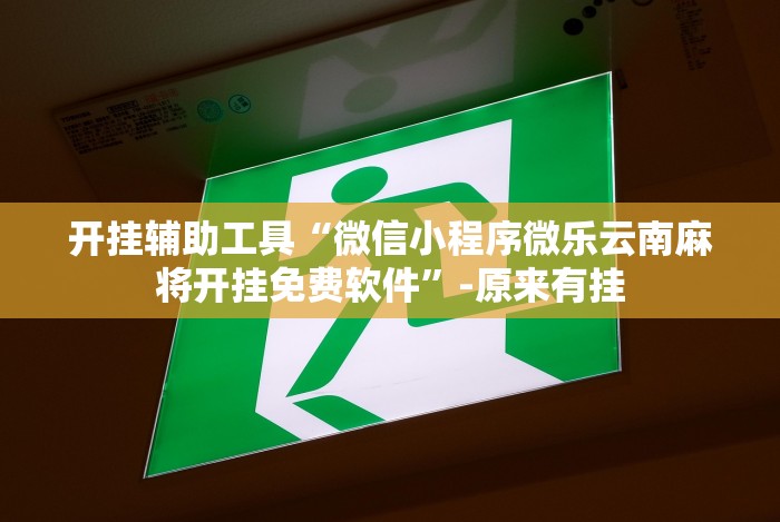 科技通报“红河棋牌·西元给有挂”详细辅助教程分享