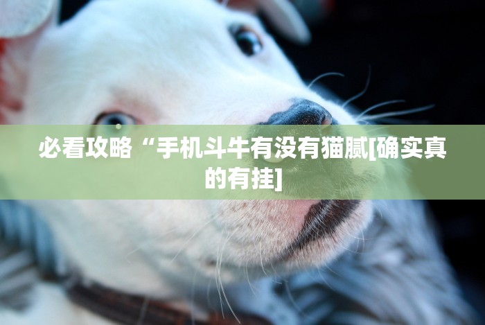 重大通报“新漫游正版可以透视吗!分享用挂教程