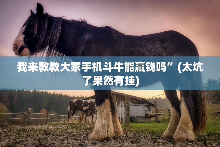 【重磅来袭】“安卓红包透视最新版更新内容”通用版下载教程！