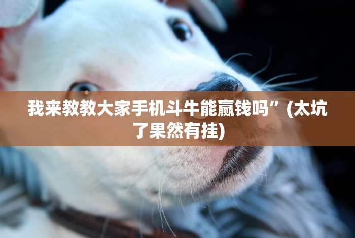 分析必看“微信超级3+1挂”最新辅助详细教程