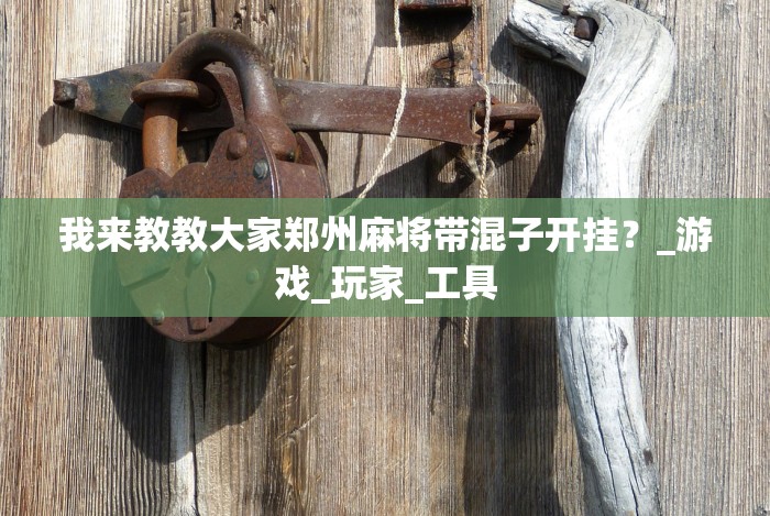 我来教教大家郑州麻将带混子开挂？_游戏_玩家_工具