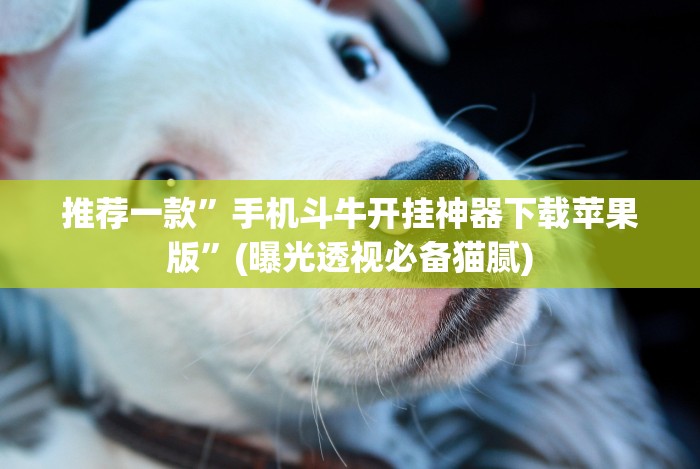 【第一资讯】“微乐锄大地辅助神器开挂”详细分享装挂步骤