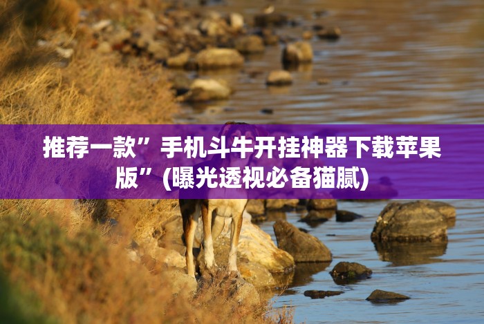教程解析“红包扫雷避雷挂”详细辅助软件教程