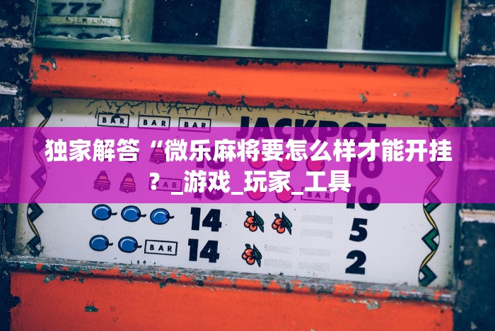 独家解答“微乐麻将要怎么样才能开挂？_游戏_玩家_工具