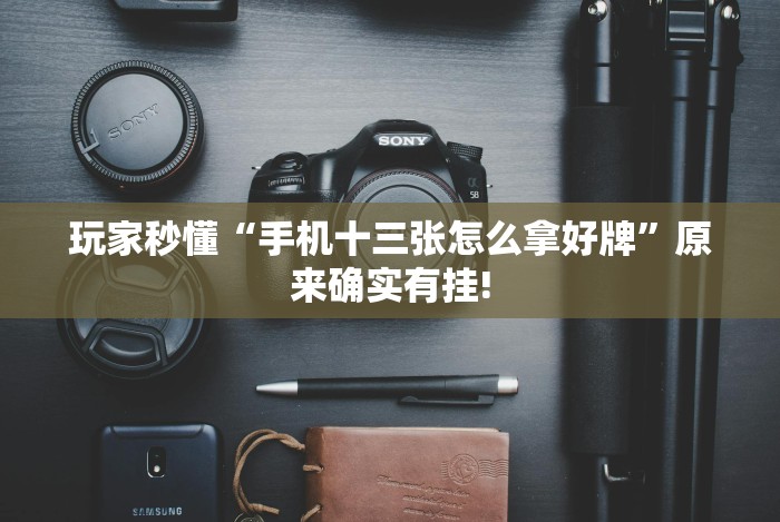 玩家秒懂“手机十三张怎么拿好牌”原来确实有挂!