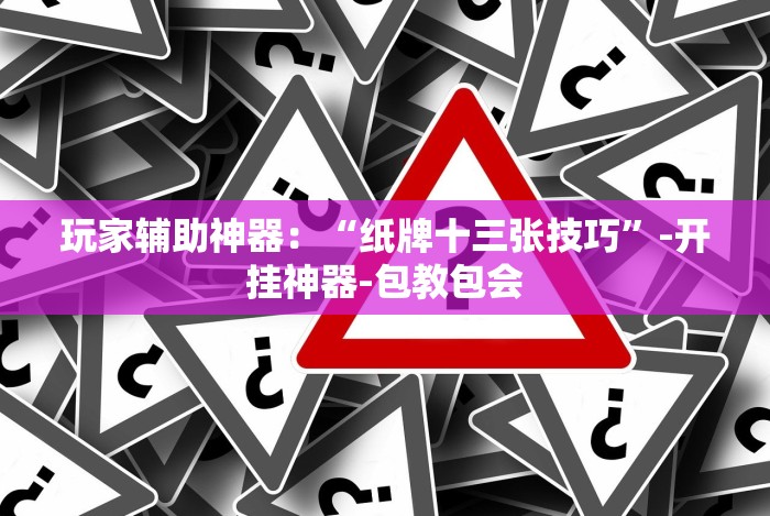 玩家辅助神器：“纸牌十三张技巧”-开挂神器-包教包会
