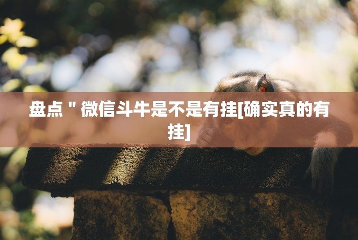 必备科技“天涯麻将挂最新辅助详细教程