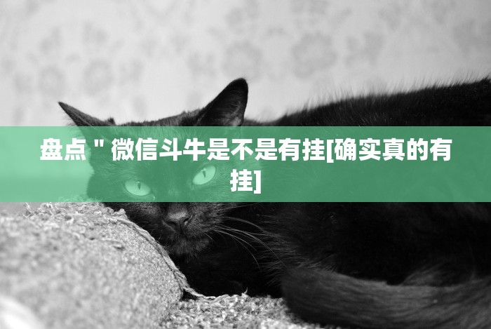 独家解答“贵州捉鸡麻将的打法和技巧讲解”开挂必胜方法