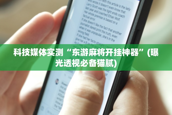 【玩家必看】“微乐辅助器最新免费版”真的有挂