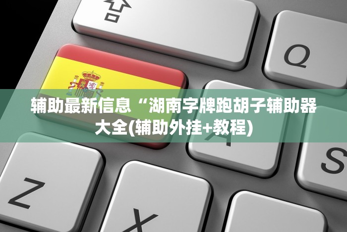 辅助最新信息“湖南字牌跑胡子辅助器大全(辅助外挂+教程)