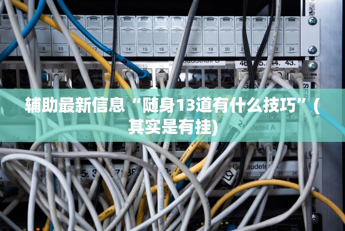 教程开挂辅助“微乐麻将系统给牌规律”-揭秘开挂教程分享