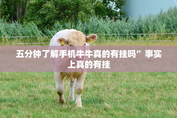 玩家辅助神器:“微乐捉老麻子外卦神器最新版更新内(透视挂真的假的)