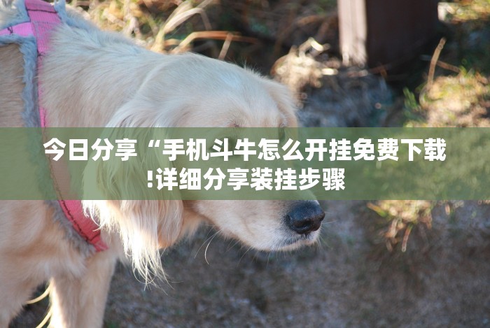 今日教程“麻将挂机软件免费下载”(最新透视辅助上线)